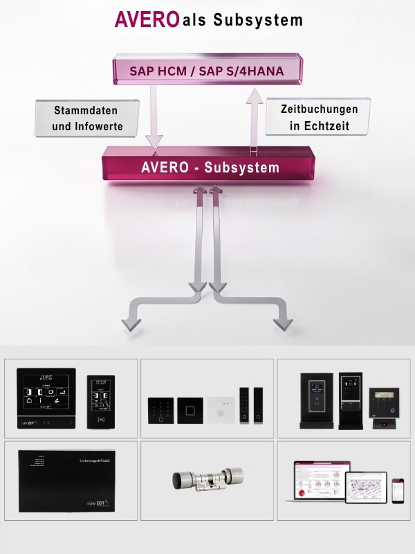 Gesetzeskonforme Zeiterfassung – von analog zu digital mit AVERO® von digital ZEIT